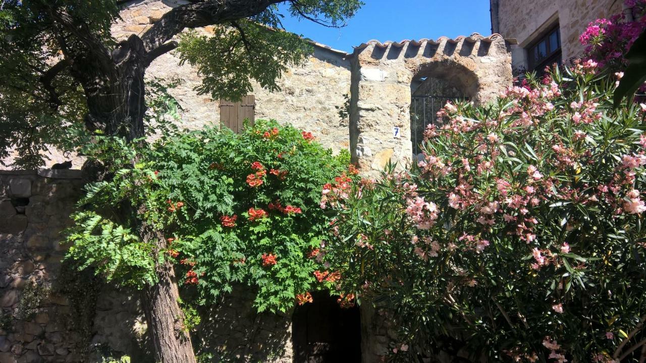 Les Studios De St Guilhem Saint-Guilhem-le-Desert Eksteriør bilde