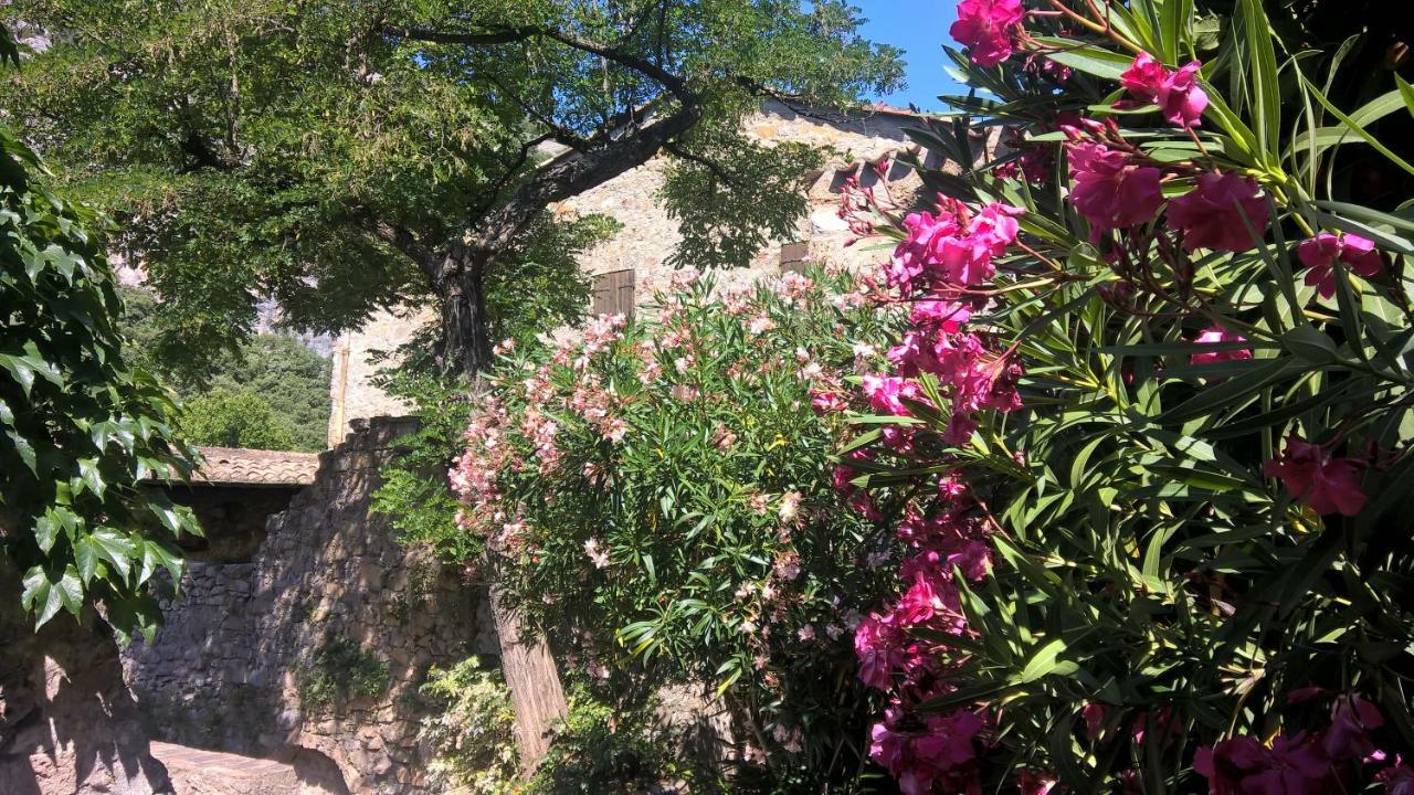 Les Studios De St Guilhem Saint-Guilhem-le-Desert Eksteriør bilde
