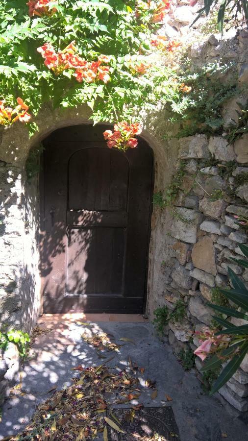 Les Studios De St Guilhem Saint-Guilhem-le-Desert Eksteriør bilde